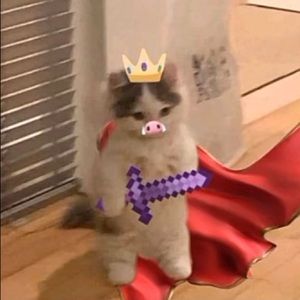 Meet your Posher, Austin